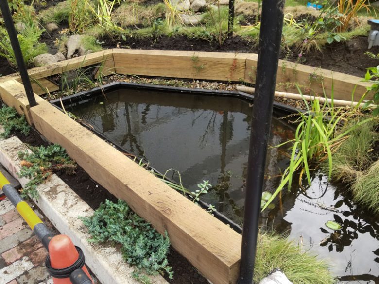 S社ビオトープ 深い部分