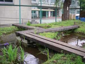 ビオトープの様子