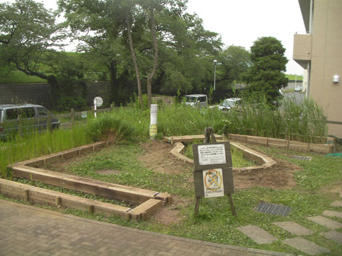 ビオトープの全景