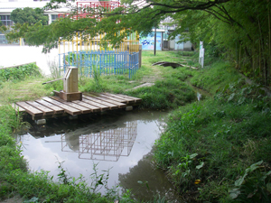 ビオトープの全景