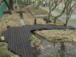 ビオトープの全景