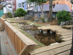 ビオトープ全景2