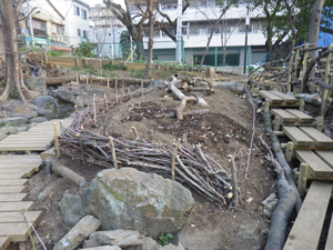 サンクチュアリ