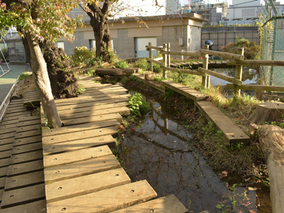 ビオトープ全景