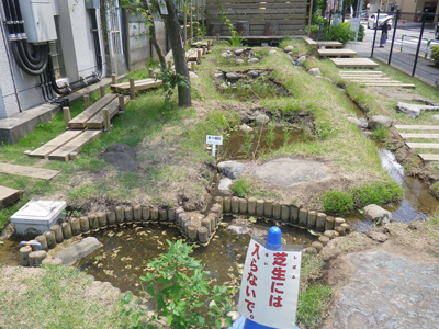 東十条ビオトープ