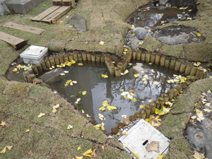 イチョウ型の池