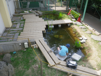 堀船小ビオトープ施工後