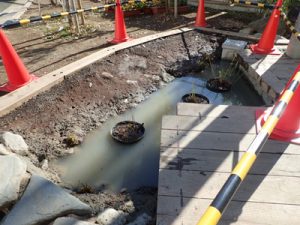 なでしこ小作業後