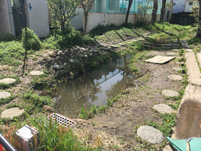 二峡田小学校ビオトープ