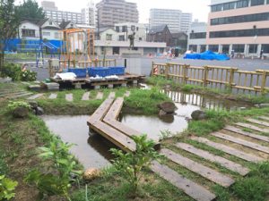 王子第一ビオトープ