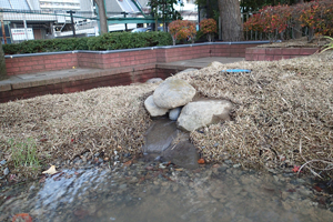 循環吐き出し口