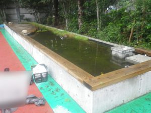 佃島小学校ビオトープ