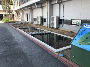 ビオトープの全景