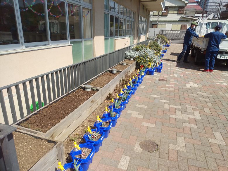 緑のカーテンプランター作業後