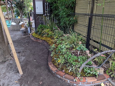 土手づくり　植栽