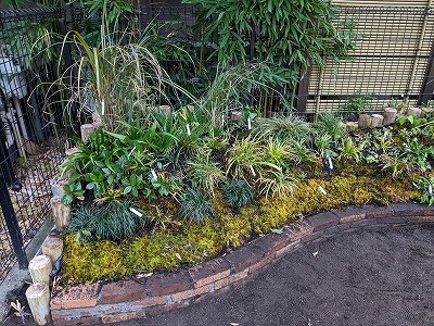 土手づくり　完成