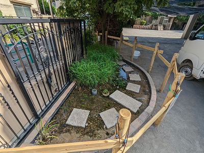 ビオトープ　完成