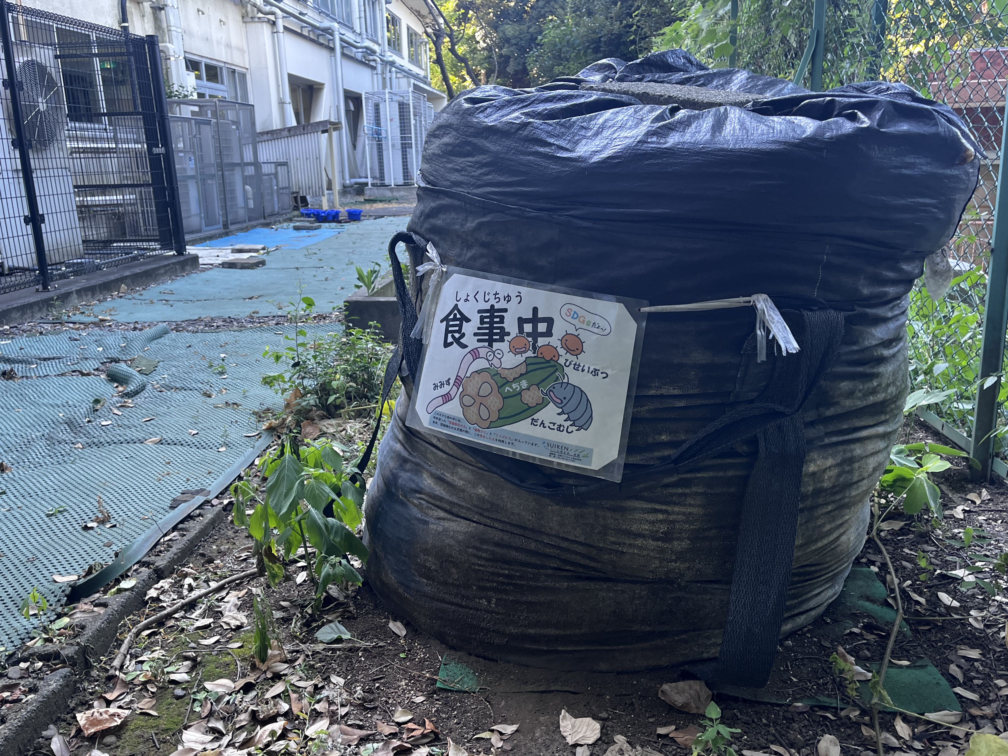 ミミズコンポスト