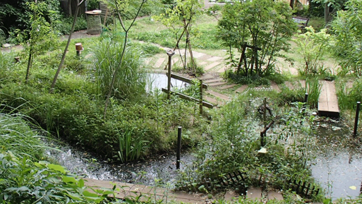 ビオトープの写真